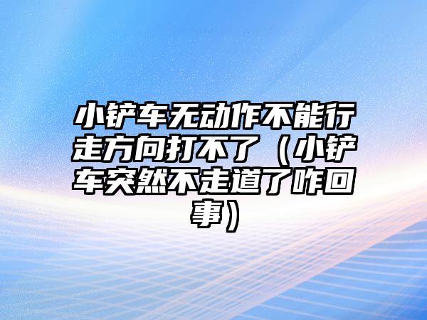 小鏟車無動作不能行走方向打不了（小鏟車突然不走道了咋回事）