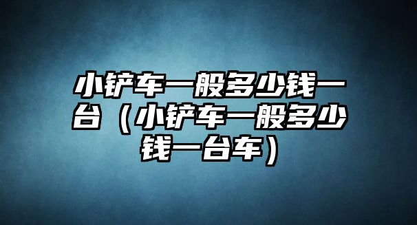 小鏟車一般多少錢一臺（小鏟車一般多少錢一臺車）