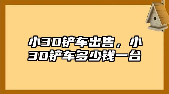 小30鏟車出售，小30鏟車多少錢一臺