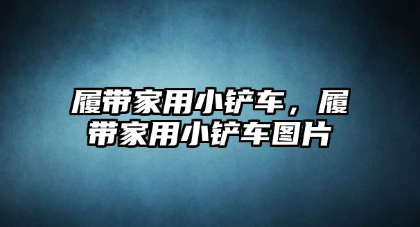 履帶家用小鏟車，履帶家用小鏟車圖片