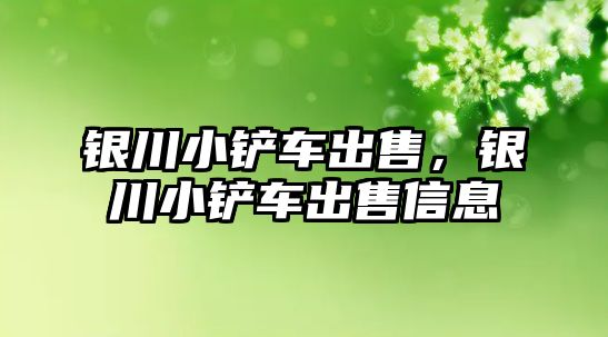 銀川小鏟車出售，銀川小鏟車出售信息