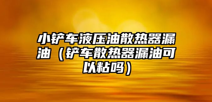 小鏟車液壓油散熱器漏油（鏟車散熱器漏油可以粘嗎）