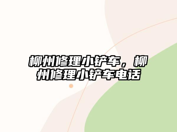 柳州修理小鏟車，柳州修理小鏟車電話