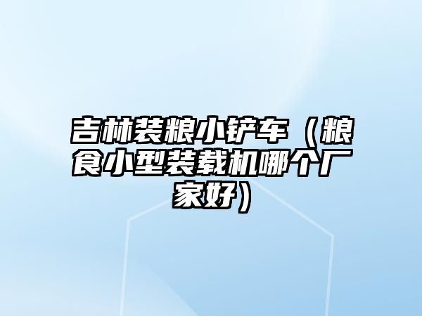 吉林裝糧小鏟車(chē)（糧食小型裝載機(jī)哪個(gè)廠家好）