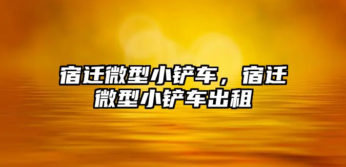 宿遷微型小鏟車，宿遷微型小鏟車出租