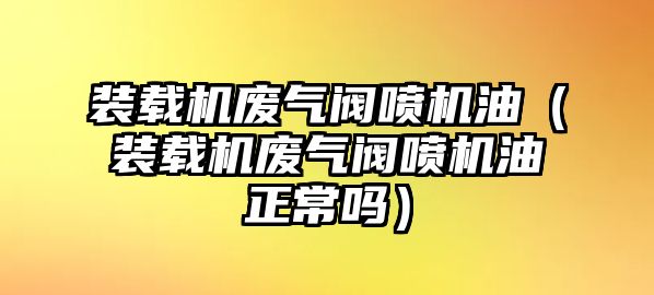 裝載機廢氣閥噴機油（裝載機廢氣閥噴機油正常嗎）