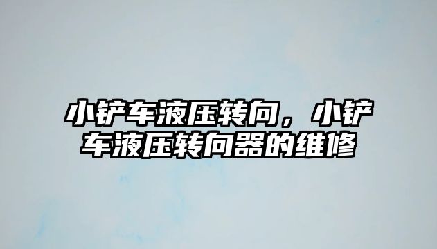 小鏟車液壓轉向，小鏟車液壓轉向器的維修