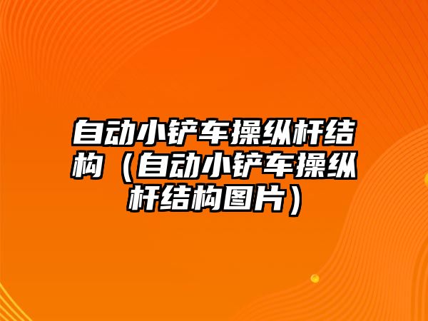 自動小鏟車操縱桿結(jié)構(gòu)（自動小鏟車操縱桿結(jié)構(gòu)圖片）