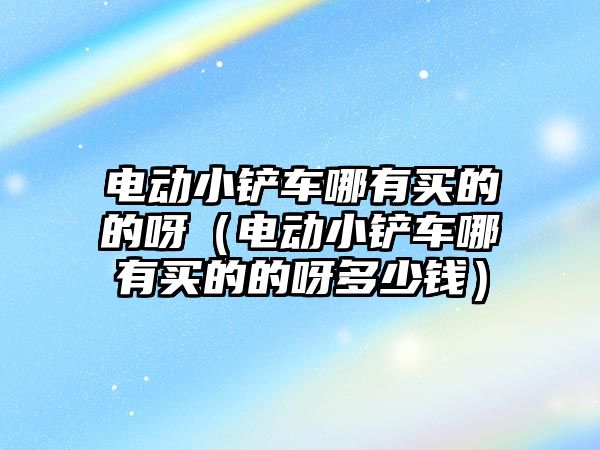 電動小鏟車哪有買的的呀（電動小鏟車哪有買的的呀多少錢）