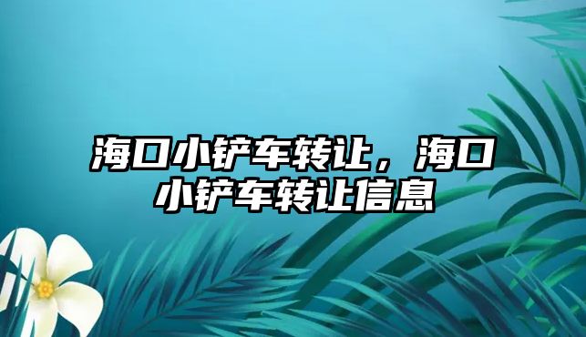 海口小鏟車轉讓，?？谛＄P車轉讓信息