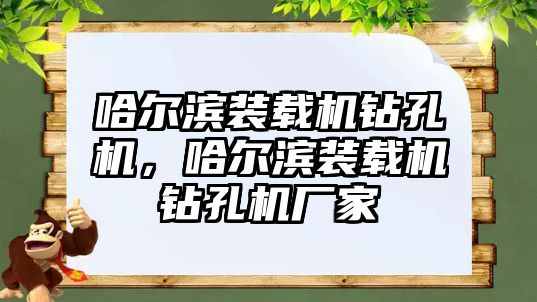 哈爾濱裝載機鉆孔機，哈爾濱裝載機鉆孔機廠家