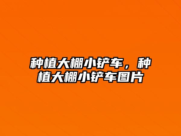 種植大棚小鏟車，種植大棚小鏟車圖片