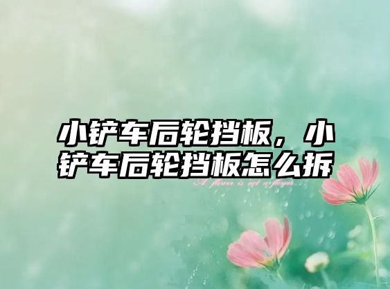 小鏟車后輪擋板，小鏟車后輪擋板怎么拆