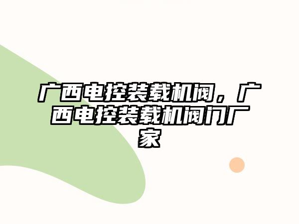 廣西電控裝載機閥，廣西電控裝載機閥門廠家