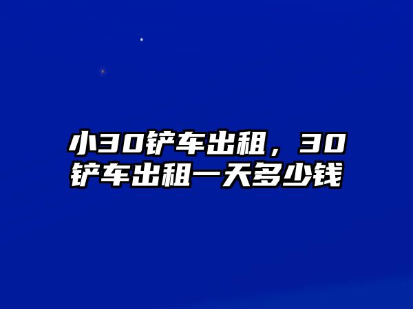 小30鏟車出租，30鏟車出租一天多少錢