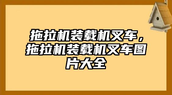 拖拉機(jī)裝載機(jī)叉車(chē)，拖拉機(jī)裝載機(jī)叉車(chē)圖片大全