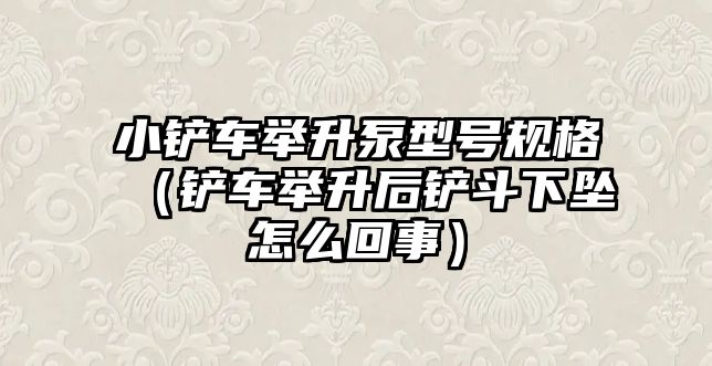 小鏟車舉升泵型號(hào)規(guī)格（鏟車舉升后鏟斗下墜怎么回事）