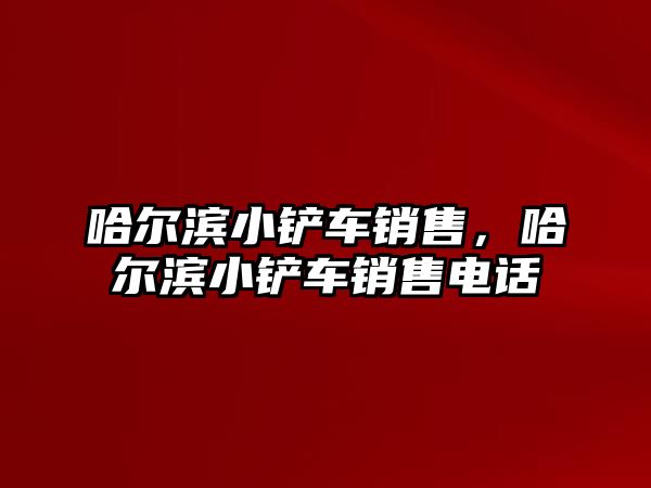 哈爾濱小鏟車銷售，哈爾濱小鏟車銷售電話