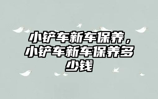 小鏟車新車保養，小鏟車新車保養多少錢