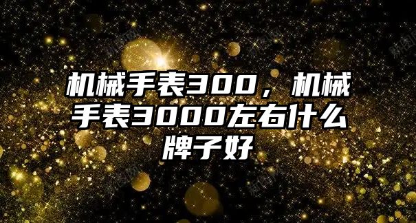 機械手表300，機械手表3000左右什么牌子好