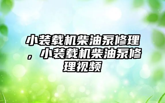 小裝載機柴油泵修理，小裝載機柴油泵修理視頻