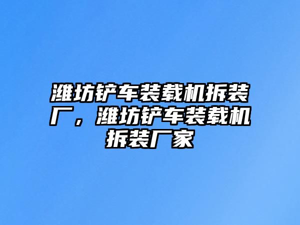 濰坊鏟車裝載機拆裝廠，濰坊鏟車裝載機拆裝廠家