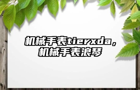 機械手表tierxda，機械手表浪琴