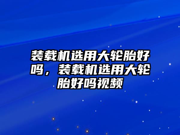 裝載機選用大輪胎好嗎，裝載機選用大輪胎好嗎視頻