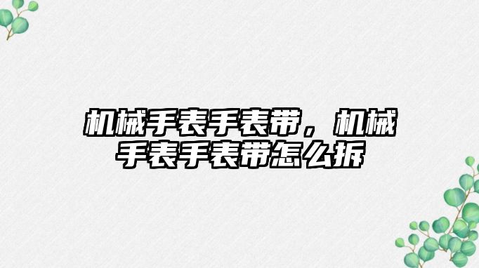 機械手表手表帶，機械手表手表帶怎么拆