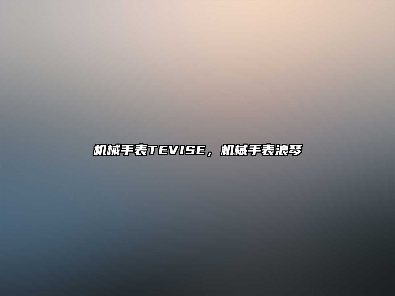 機械手表TEVISE，機械手表浪琴