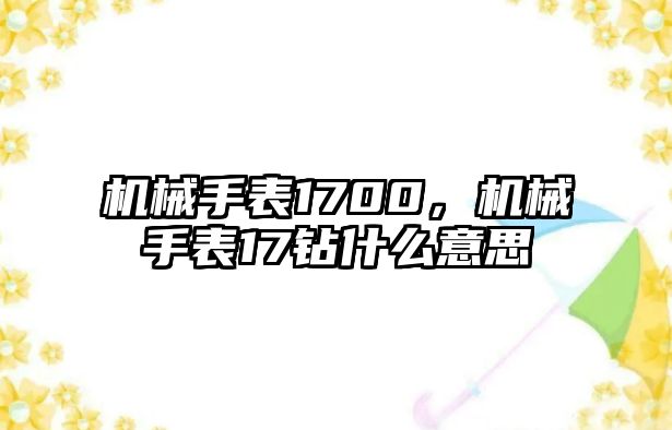 機械手表1700，機械手表17鉆什么意思