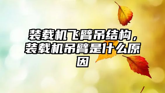 裝載機飛臂吊結構，裝載機吊臂是什么原因