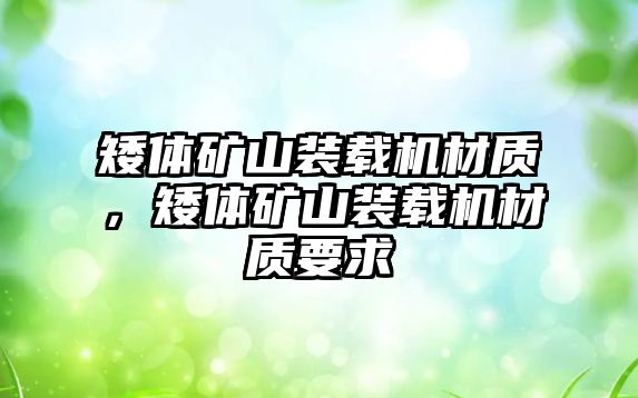 矮體礦山裝載機材質，矮體礦山裝載機材質要求