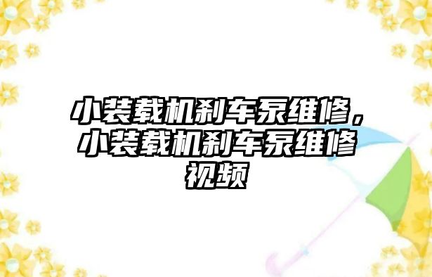 小裝載機剎車泵維修，小裝載機剎車泵維修視頻