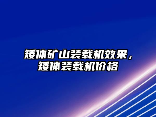 矮體礦山裝載機效果，矮體裝載機價格