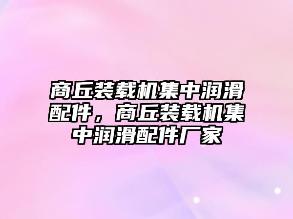 商丘裝載機集中潤滑配件，商丘裝載機集中潤滑配件廠家