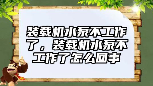 裝載機(jī)水泵不工作了，裝載機(jī)水泵不工作了怎么回事