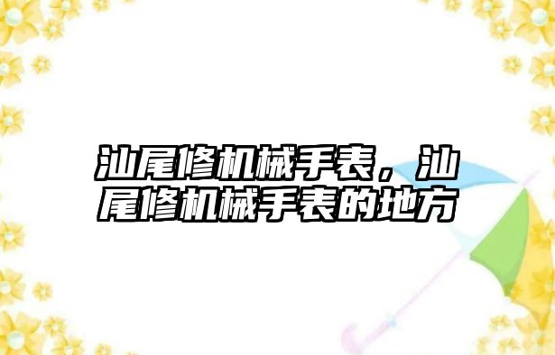 汕尾修機械手表，汕尾修機械手表的地方