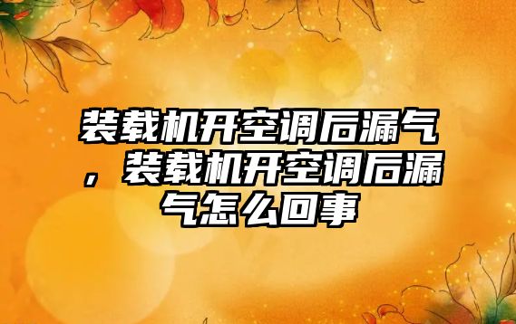 裝載機開空調后漏氣，裝載機開空調后漏氣怎么回事