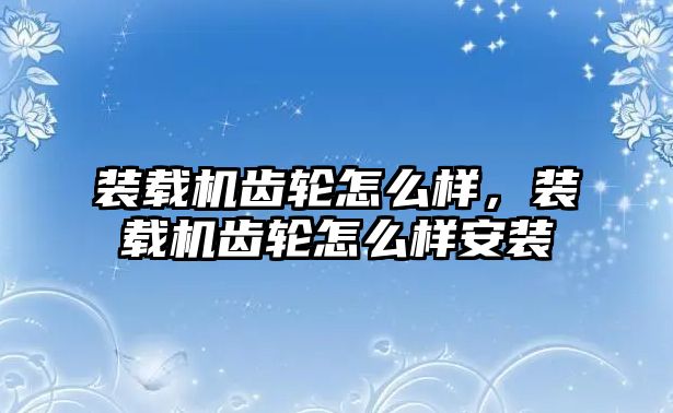 裝載機齒輪怎么樣，裝載機齒輪怎么樣安裝