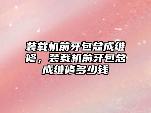 裝載機前牙包總成維修，裝載機前牙包總成維修多少錢