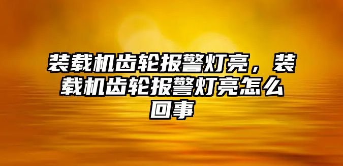 裝載機齒輪報警燈亮，裝載機齒輪報警燈亮怎么回事