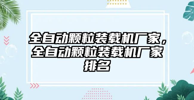 全自動顆粒裝載機廠家，全自動顆粒裝載機廠家排名