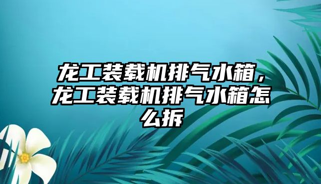 龍工裝載機(jī)排氣水箱，龍工裝載機(jī)排氣水箱怎么拆