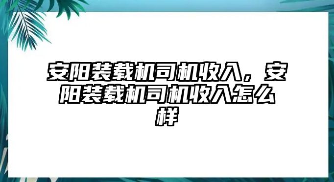 安陽裝載機司機收入，安陽裝載機司機收入怎么樣