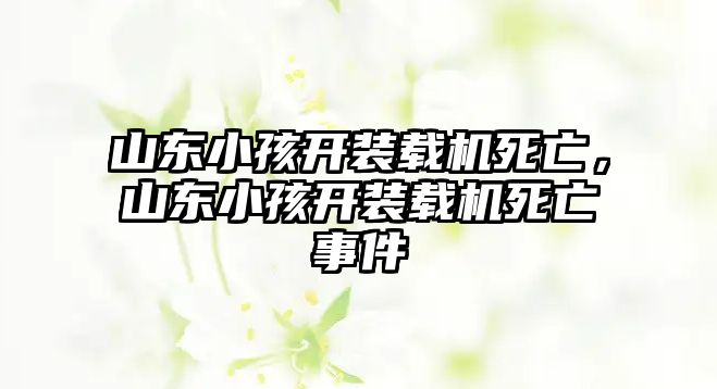 山東小孩開裝載機死亡，山東小孩開裝載機死亡事件