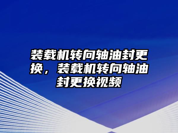 裝載機轉向軸油封更換，裝載機轉向軸油封更換視頻