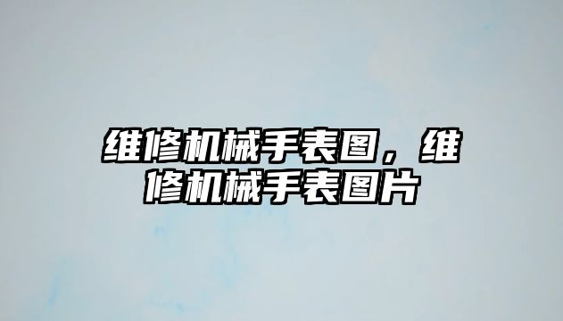 維修機(jī)械手表圖，維修機(jī)械手表圖片