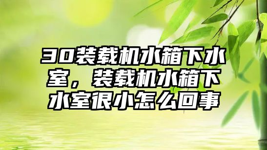 30裝載機水箱下水室，裝載機水箱下水室很小怎么回事