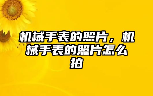 機械手表的照片，機械手表的照片怎么拍